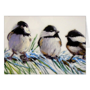 Pájaros del chickadee de Carolina