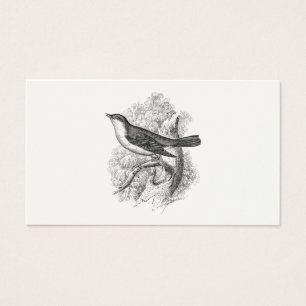 Pájaros del ilustracion del pájaro del usignuolo