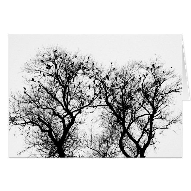 Pájaros del invierno (Anverso (Horizontal))