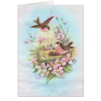 Pájaros del vintage