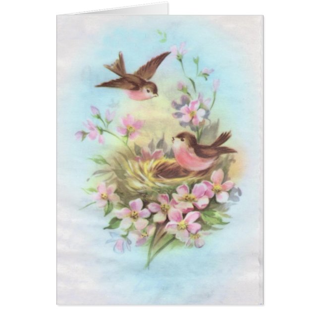 Pájaros del vintage (Frente)