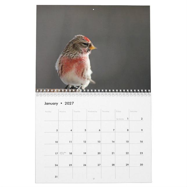 Pájaros en calendario del invierno 2015 (Jan 2027)