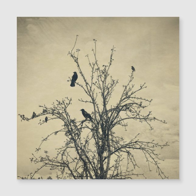 Pájaros en el árbol   -     (Anverso)