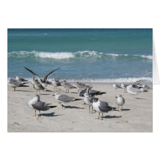 pájaros en la playa del océano