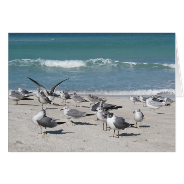 pájaros en la playa del océano (Anverso (Horizontal))