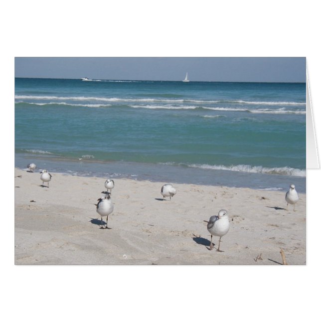 pájaros en la playa del océano (Anverso (Horizontal))