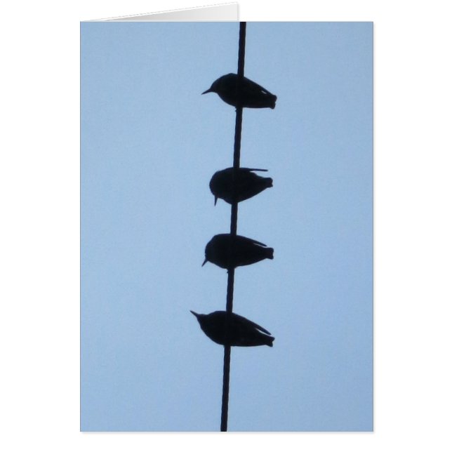 Pájaros en una línea 1 (Frente)