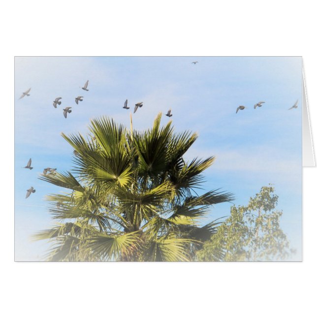 Pájaros en vuelo (Anverso (Horizontal))