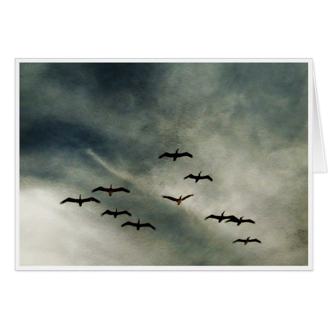 Pájaros en vuelo (Anverso (Horizontal))