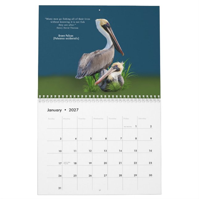Pájaros fabulosos calendario de 12 meses (Jan 2027)