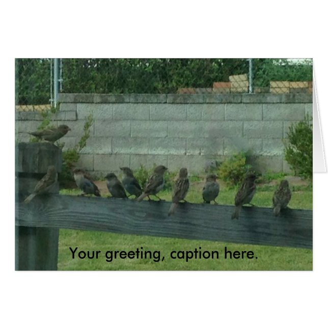 Pájaros Gorriones en un Riel Tarjetas de Tus Palab (Anverso (Horizontal))