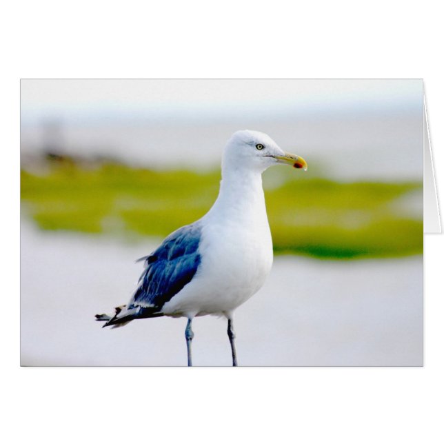 Pájaros junto al agua (Anverso (Horizontal))