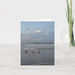 Pájaros ocupados en la tarjeta de nota de la playa