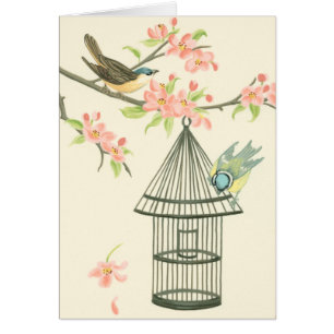 Pájaros pequeños encaramados en una rama y en una