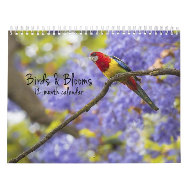 Pájaros y floraciones calendario de 12 meses (Tapa)