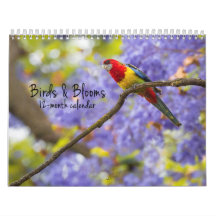 Pájaros y floraciones calendario de 12 meses