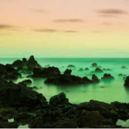 PAKE SALMON - CALENDARIO 2024 BELLA ARTES HAWAIANA