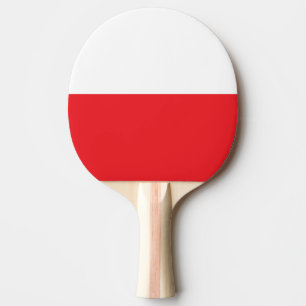 PALA DE PING PONG