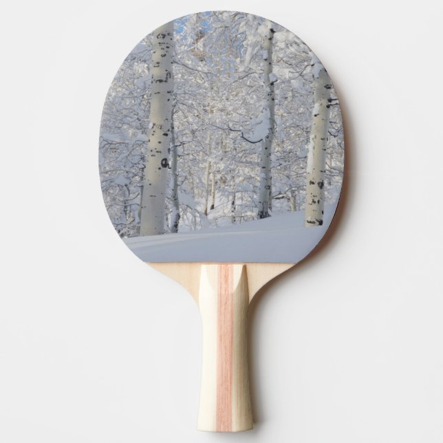Pala De Ping Pong Abedules cubiertos de nieve, Beartrap-Desolation R (Anverso)