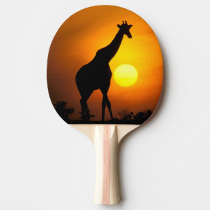 Pala De Ping Pong África, Kenia, Masai Mara. Giraffe (Giraffe)