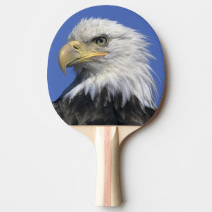 Pala De Ping Pong Águila calva, (Haliaeetus leucocephalus), salvaje,