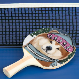 PALA DE PING PONG AKITA       