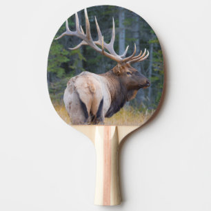 Pala De Ping Pong Alce de las Montañas Rocosas toro