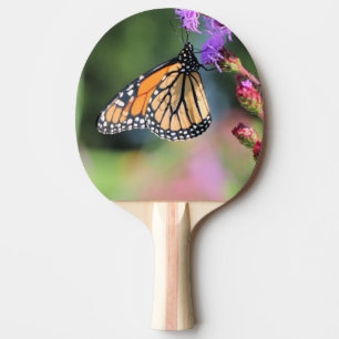 Pala De Ping Pong Almuerzo de monarca