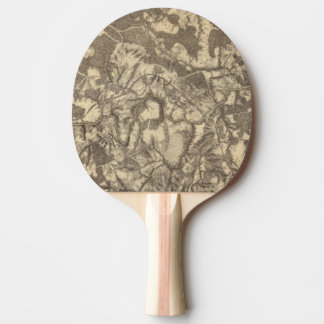 Pala De Ping Pong Altos puente y Virginia