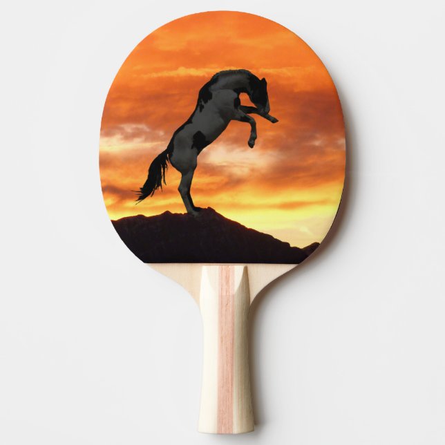 Pala De Ping Pong Alzar la paleta del ping-pong del caballo (Anverso)