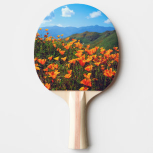 Pala De Ping Pong Amapolas de California cubriendo una ladera