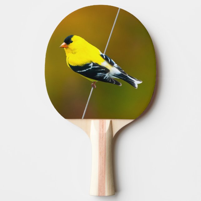 Pala De Ping Pong American Goldfinch - Fotografía original (Anverso)