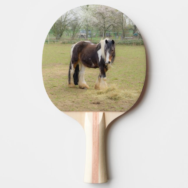 Pala De Ping Pong Amor a caballo - Tinker irlandés (Anverso)