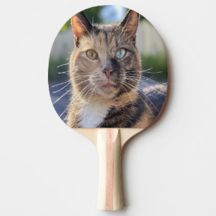 Pala De Ping Pong Añadir Personalizar de fotos de gato