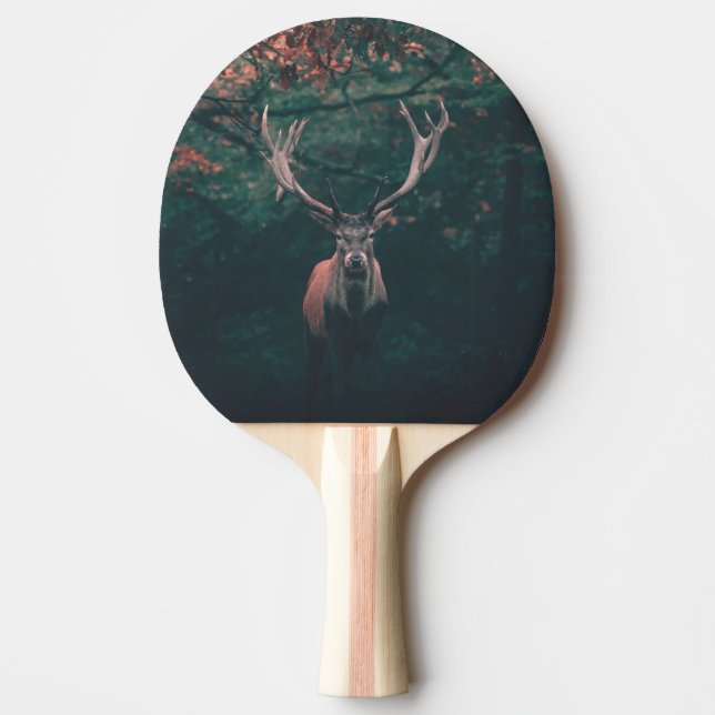 Pala De Ping Pong Animal salvaje Buck Deer (Anverso)