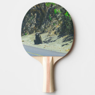 Pala De Ping Pong Animales animales salvajes