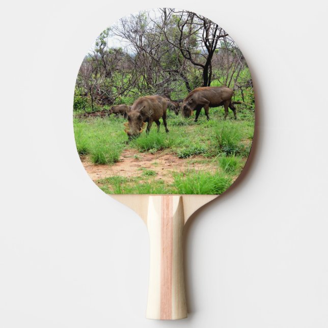 Pala De Ping Pong Animales salvajes de Warthog (Anverso)