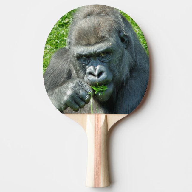 PALA DE PING PONG ANIMALES SALVAJES - GORILLAS (Anverso)