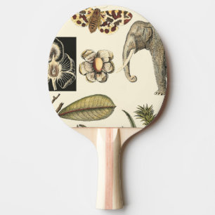 Pala De Ping Pong Animales variados pintados de fondo crema