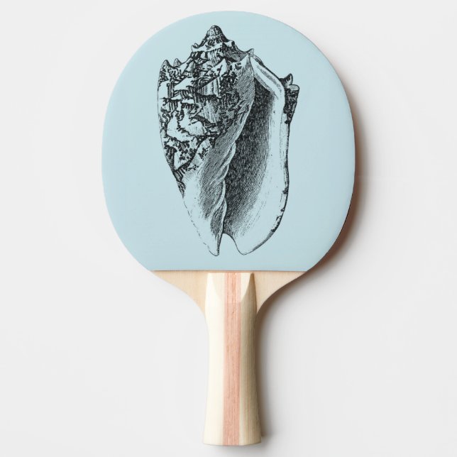Pala De Ping Pong Aqua Conch Shell (Anverso)