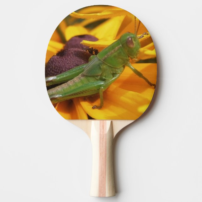 Pala De Ping Pong Aquí está mirándote - Grasshopper (Anverso)