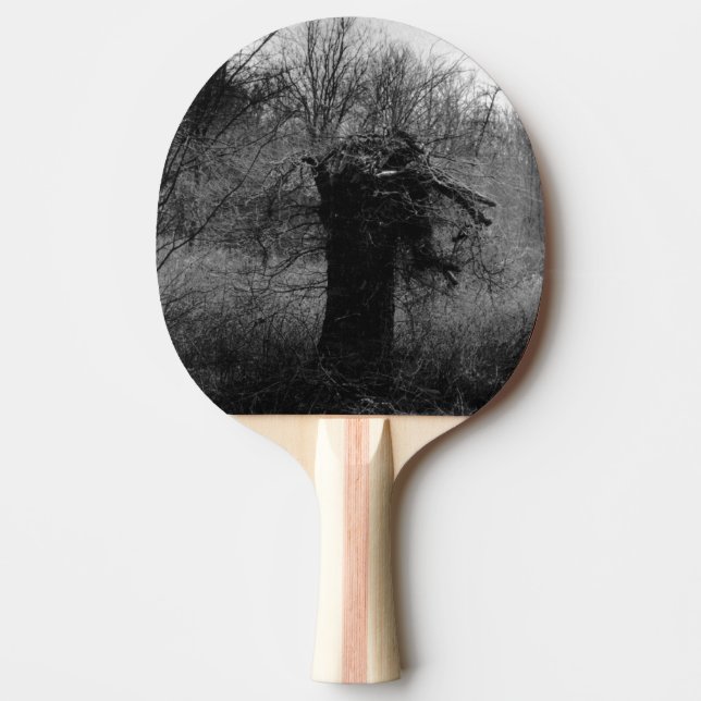 Pala De Ping Pong Árbol antiguo (Anverso)