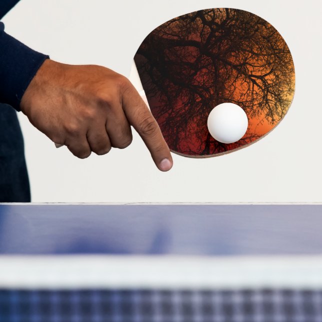 Pala De Ping Pong Árbol de invierno de la silueta de sol (in situ)