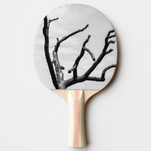 Pala De Ping Pong árbol libre