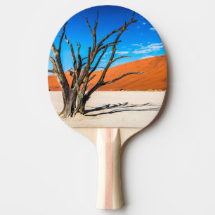 Pala De Ping Pong Árbol muerto en Deadvlei, Namibia