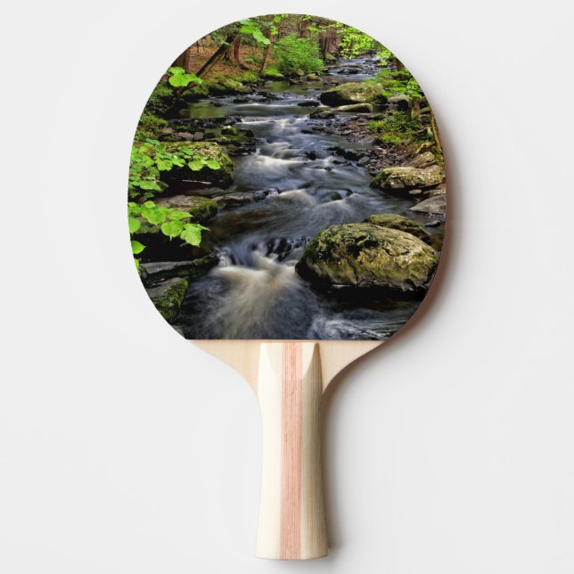 Pala De Ping Pong Arroyo fluye a través del bosque (Anverso)