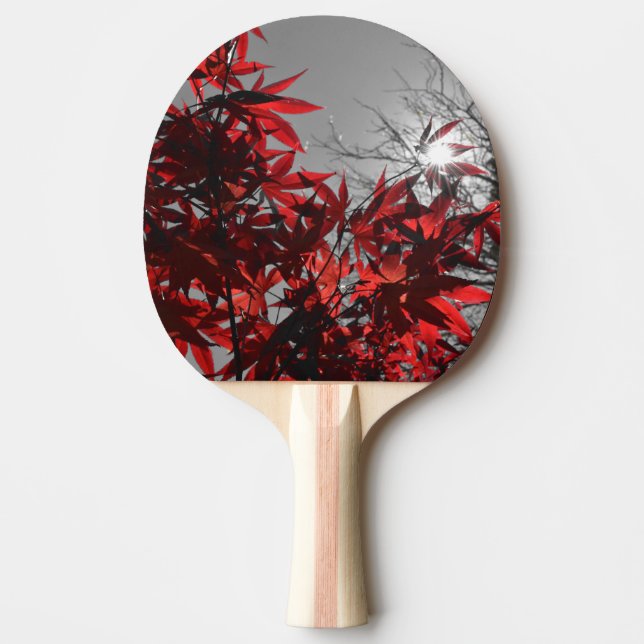 Pala De Ping Pong Ascuas de Otoño (Anverso)
