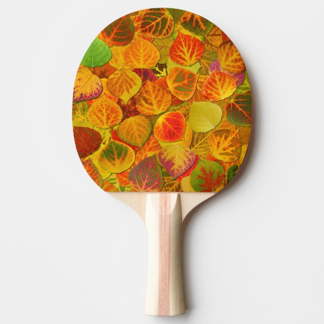 Pala De Ping Pong Aspen Deja Collage Sólido Medley 1 (Anverso)