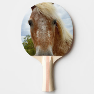 Pala De Ping Pong Azúcar El Caballo Appaloosa,