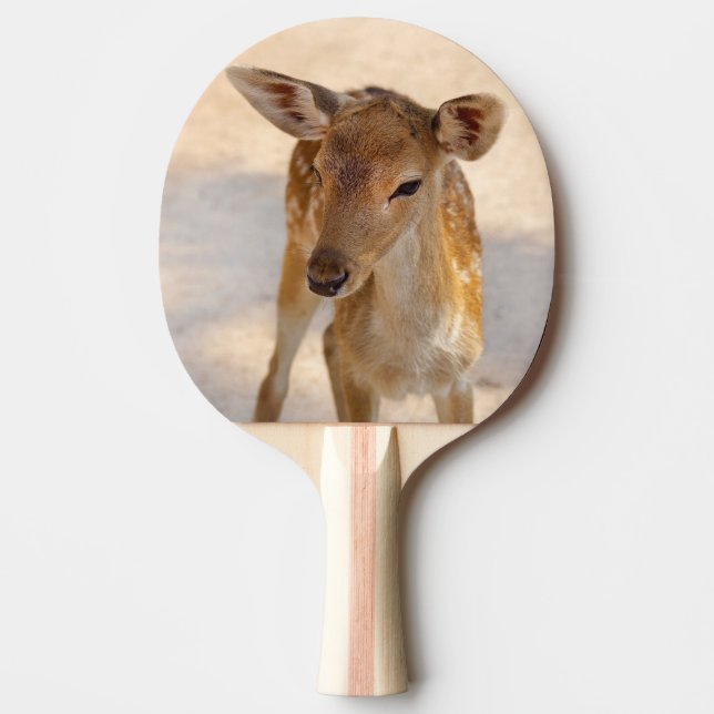 Pala De Ping Pong Baby Deer (Anverso)